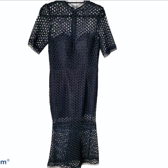 Jarlo Tall Cutwork Lace Overlay Midi Dress - Picture 10 of 11